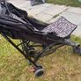 Free buggy Image 2