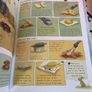 Usborne - Outdoor Set and Book Image 5