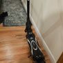 Electric Scooter Image 2
