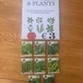 Herb Plants Image 8