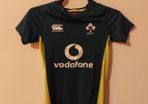 ireland rugby jersey
