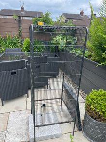 XL bird cage