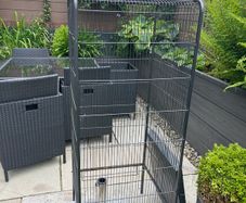 XL bird cage