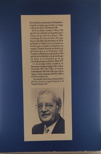 Conradh na Gaeilge i Londain 1894-1917 - Donncha O Suilleabhain