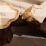 hornsea and eastgate pottery Image 5