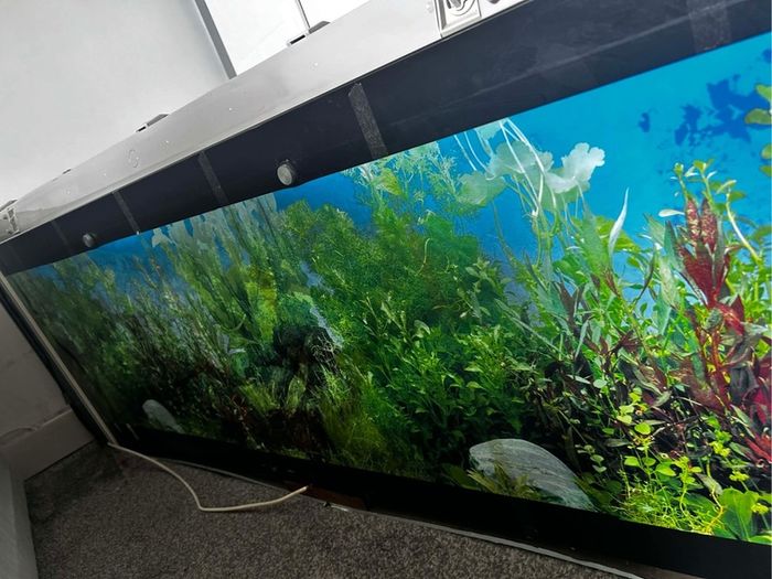 Long Aqua Scape Tank