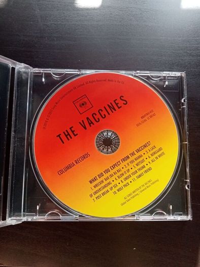 The Vaccines - What did you expect CD