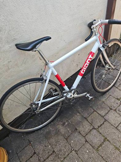 Giant Bowery Size Medium