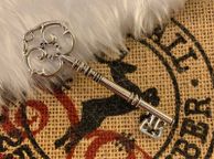 main image for ad Santa's Magic Key Silver Color