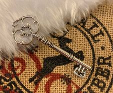 Santa's Magic Key Silver Color