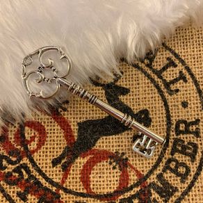 Santa's Magic Key Silver Color