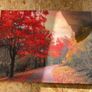 Pictures for sale Image 3