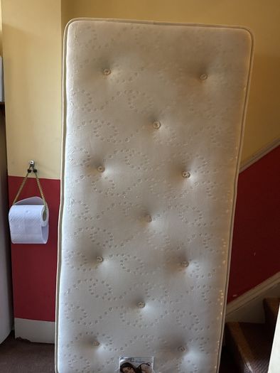 loft bed frame free with 2 single mattress
