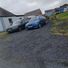 paddy261