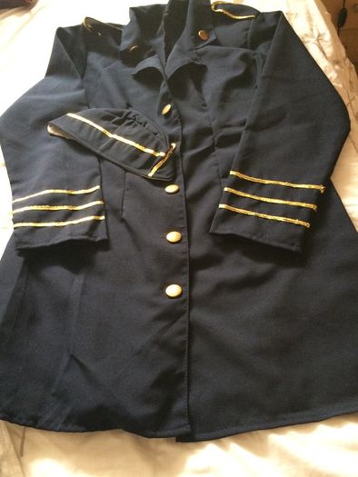 Ladies Flight Attendant costume
