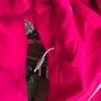 Trespass winter jacket Image 3