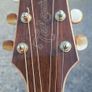 Takamine Guitar with hard case Image 3