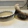 Ceramic Egg Holder Image 5