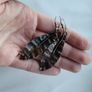 Handmade copper leaf shaped earrings Image 2