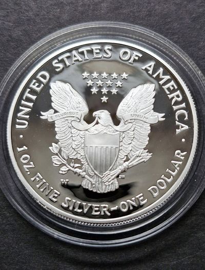 2004 - W American 1 oz Silver Eagle DCAM Proof coin