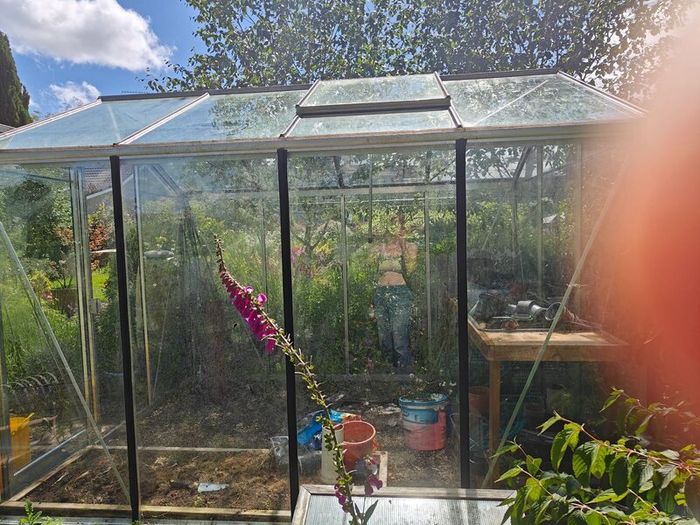Green house  domestic garden