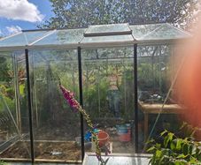 Green house  domestic garden