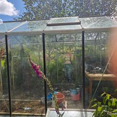 Green house  domestic garden