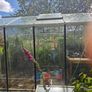 Green house  domestic garden Image 10