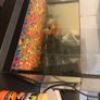 fish tank Image 8