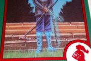 Spelljammer 1993 TSR. Hajallian Thremintha. Trading Card.  Red.