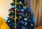 Christmas tree open to offers will deliver