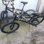 bmxs Image 3