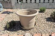 Plant pot