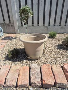 Plant pot