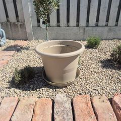 Plant pot