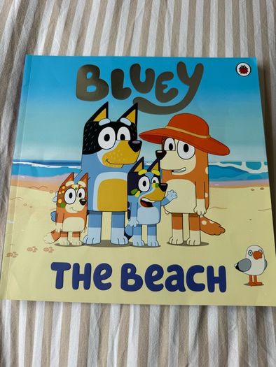 Bluey kids book bundle