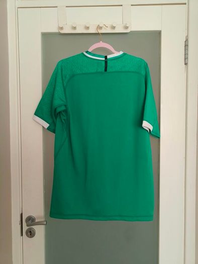 Canterbury Adult Ireland Rugby IRFU Home Jersey RWC 2019
