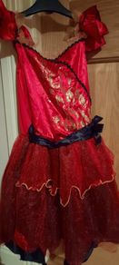 Fancy Dress Costume Halloween