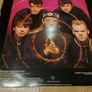 That Petrol Emotion - Sensitize - 12" Vinyl Single Image 2