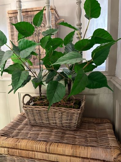 Washed rattan planter console or centrepiece with timer lights
