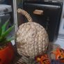 pumpkin Halloween bundle Image 3