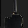 Harley Benton 12 string semi acoustic Image 2