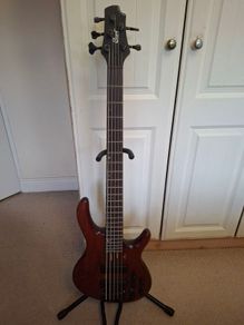 Cort b5 plus made in Korea