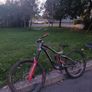 Vitus dh bike Image 2