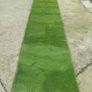 Artificial grass Image 2
