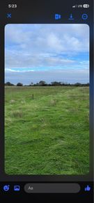 Grass for silage (Meadowing)