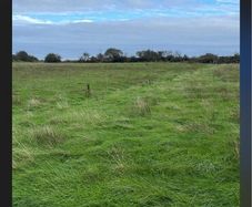 Grass for silage (Meadowing)
