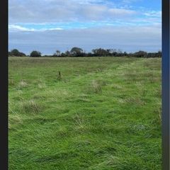 Grass for silage (Meadowing)