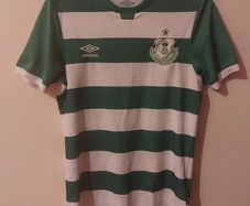shamrock rovers jersey