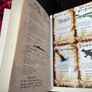 Book First Edition Signed by Author How to Train your Dragon Cressida Cowell Signed by Author How to Seize a Dragons Jewel Image 3